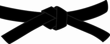 My First Black Belt! K.I.K.S. Karate/Hapkido!