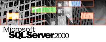 SQL Server 2000 Bulk Import Best Possible Performance